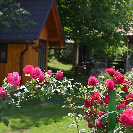 Apartamento Ivona - Kuca Za Odmor Perusic - Stara Lika Exterior foto