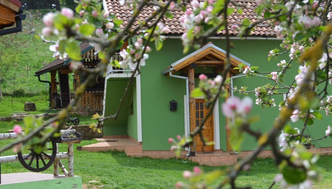 Apartamento Ivona - Kuca Za Odmor Perusic - Stara Lika Exterior foto