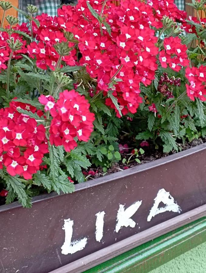 Apartamento Ivona - Kuca Za Odmor Perusic - Stara Lika Exterior foto